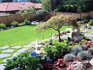 Transplanted Japanese maple & new plantings