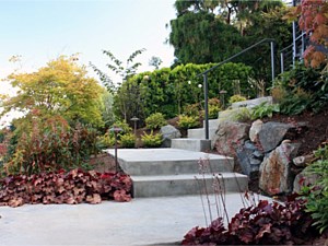 Entry stairs and plantings