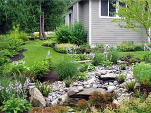 Water feature & drainage course using captured rain water