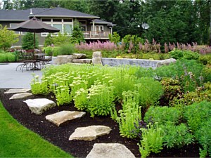 Perennial beds in bloom